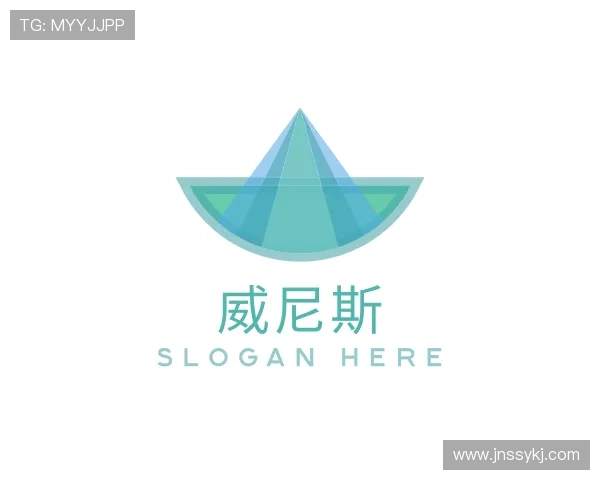 介绍wnsr官网